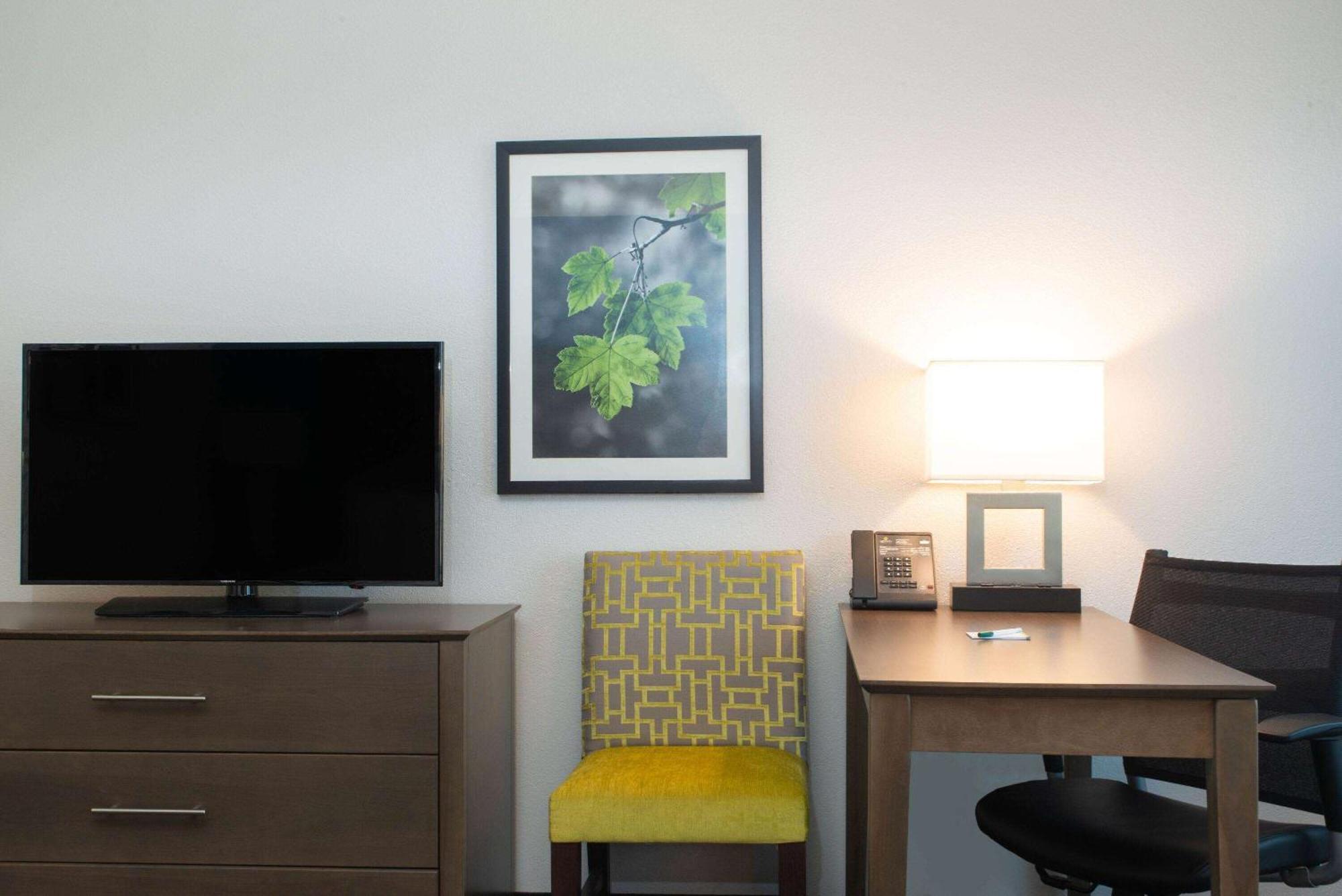 Hotel La Quinta By Wyndham Tampa Brandon Regency Park Extérieur photo